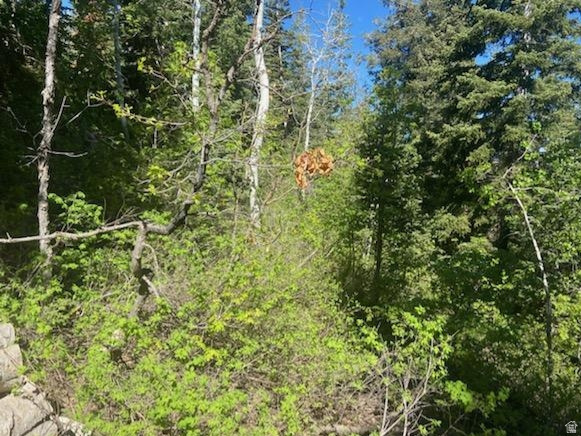 SKYLINE MOUNTAIN RES - Land