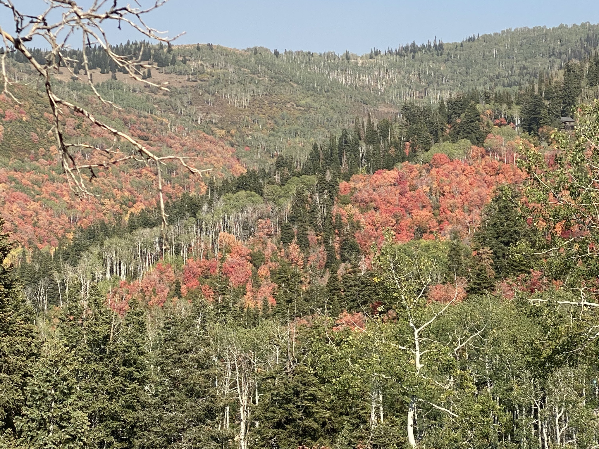 SKYLINE MOUNTAIN RES - Land