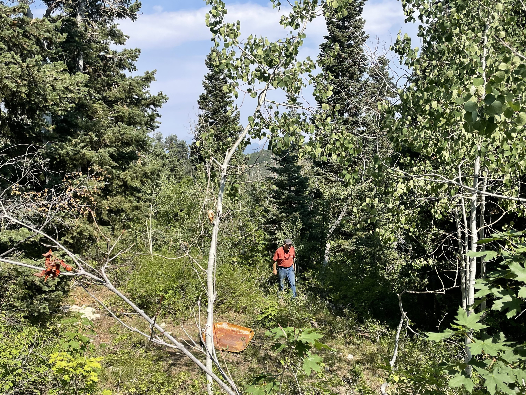 SKYLINE MOUNTAIN RES - Land