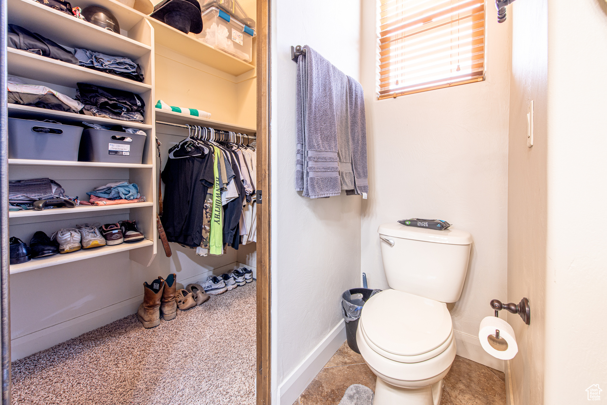 1166 E Colt Ave, Washington, Utah image 30