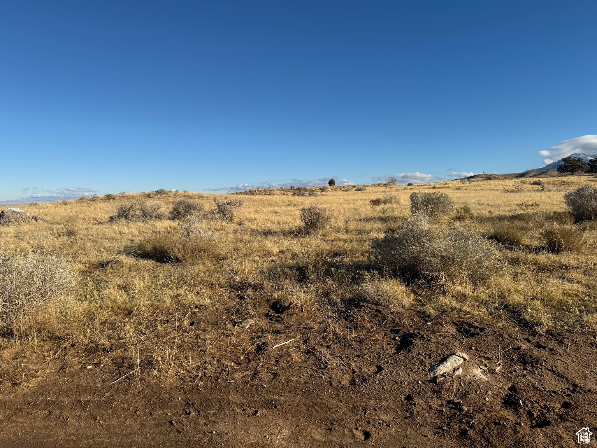 14-17-5 AND 11-17-5 - Land