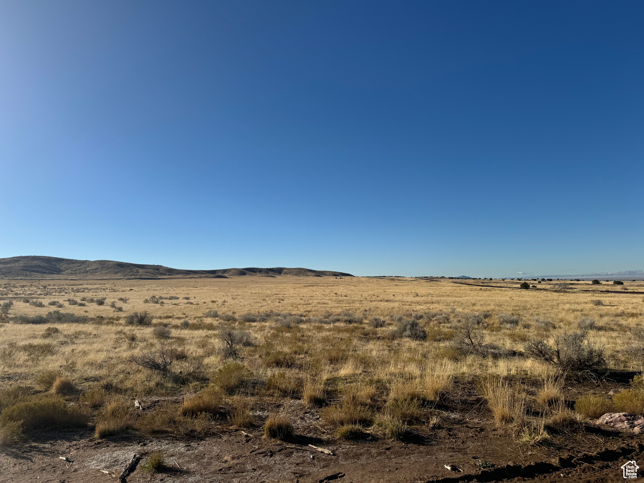 14-17-5 AND 11-17-5 - Land