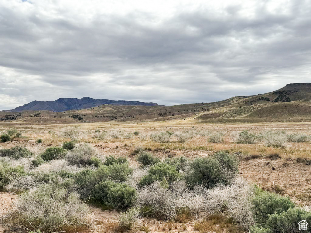 14-17-5 AND 11-17-5 - Land