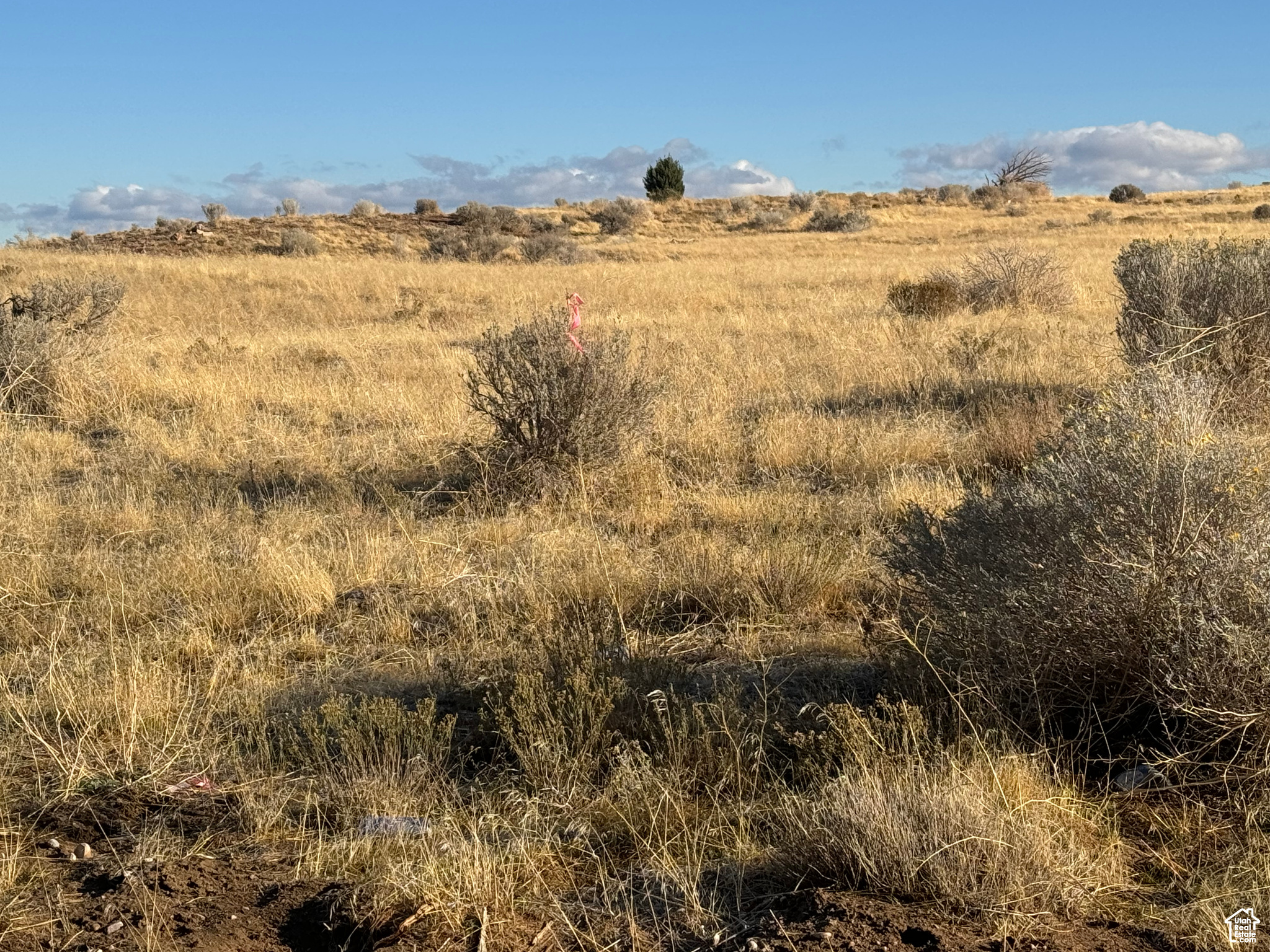 14-17-5 AND 11-17-5 - Land