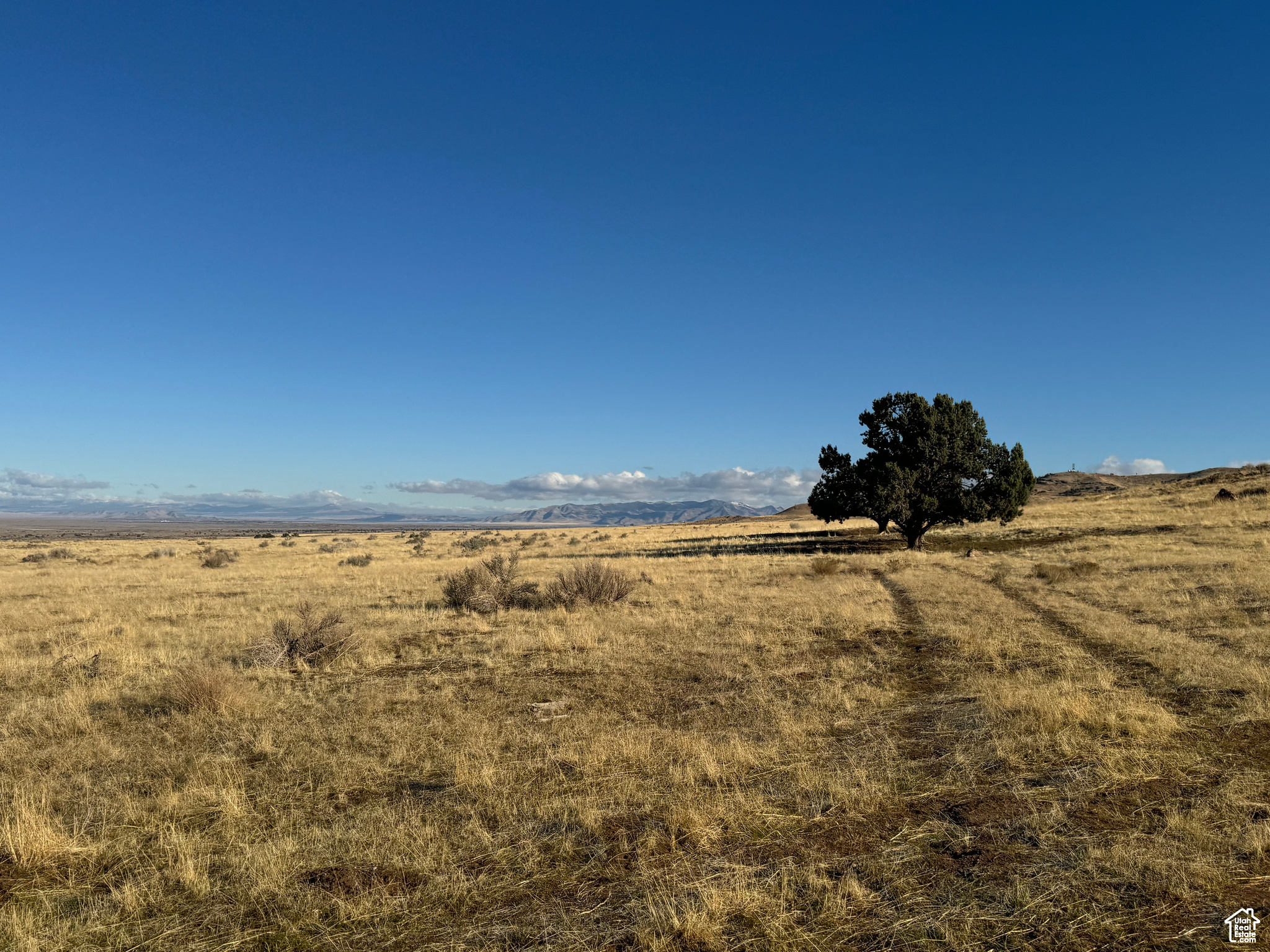 14-17-5 AND 11-17-5 - Land