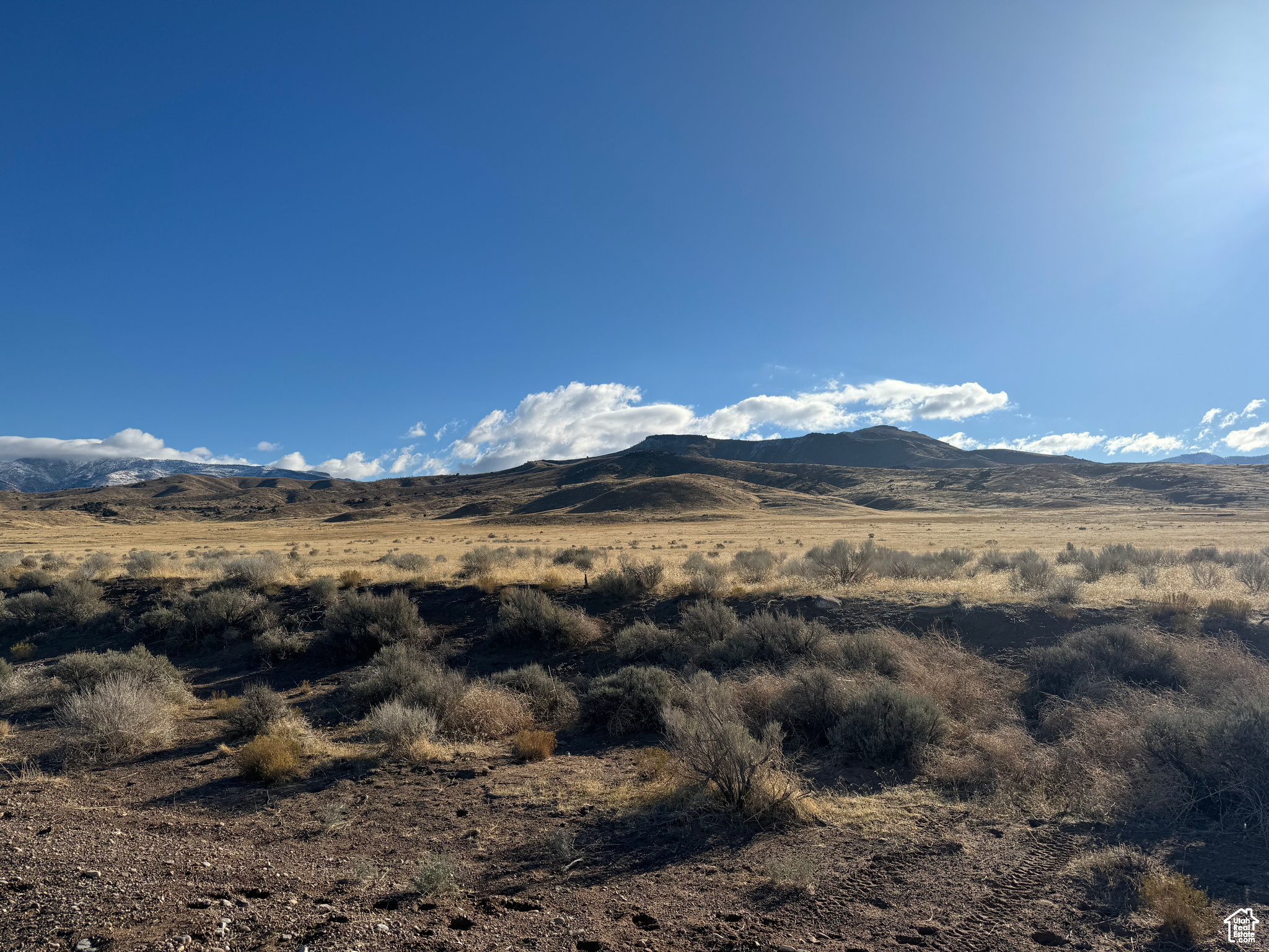 14-17-5 AND 11-17-5 - Land