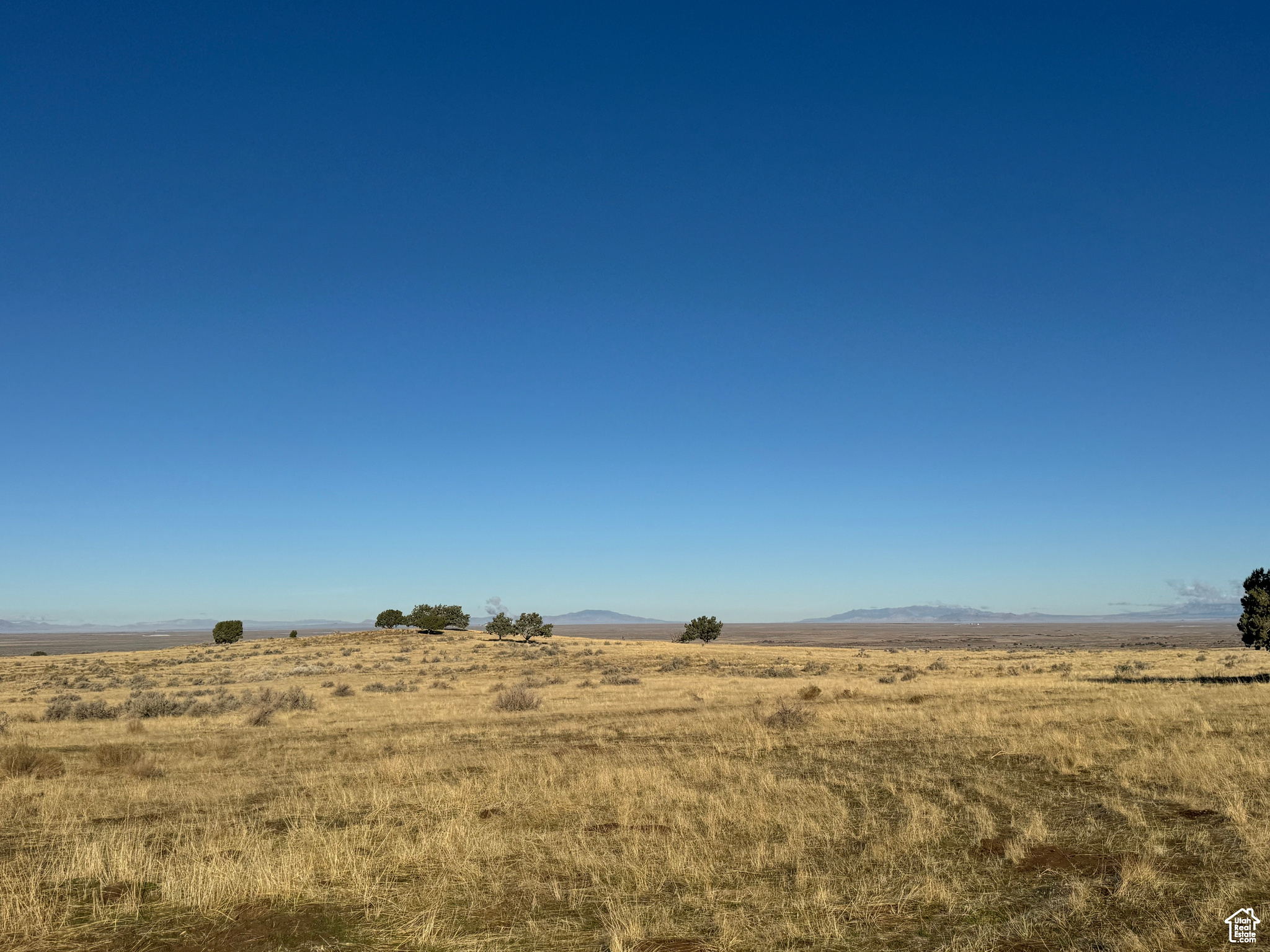 14-17-5 AND 11-17-5 - Land