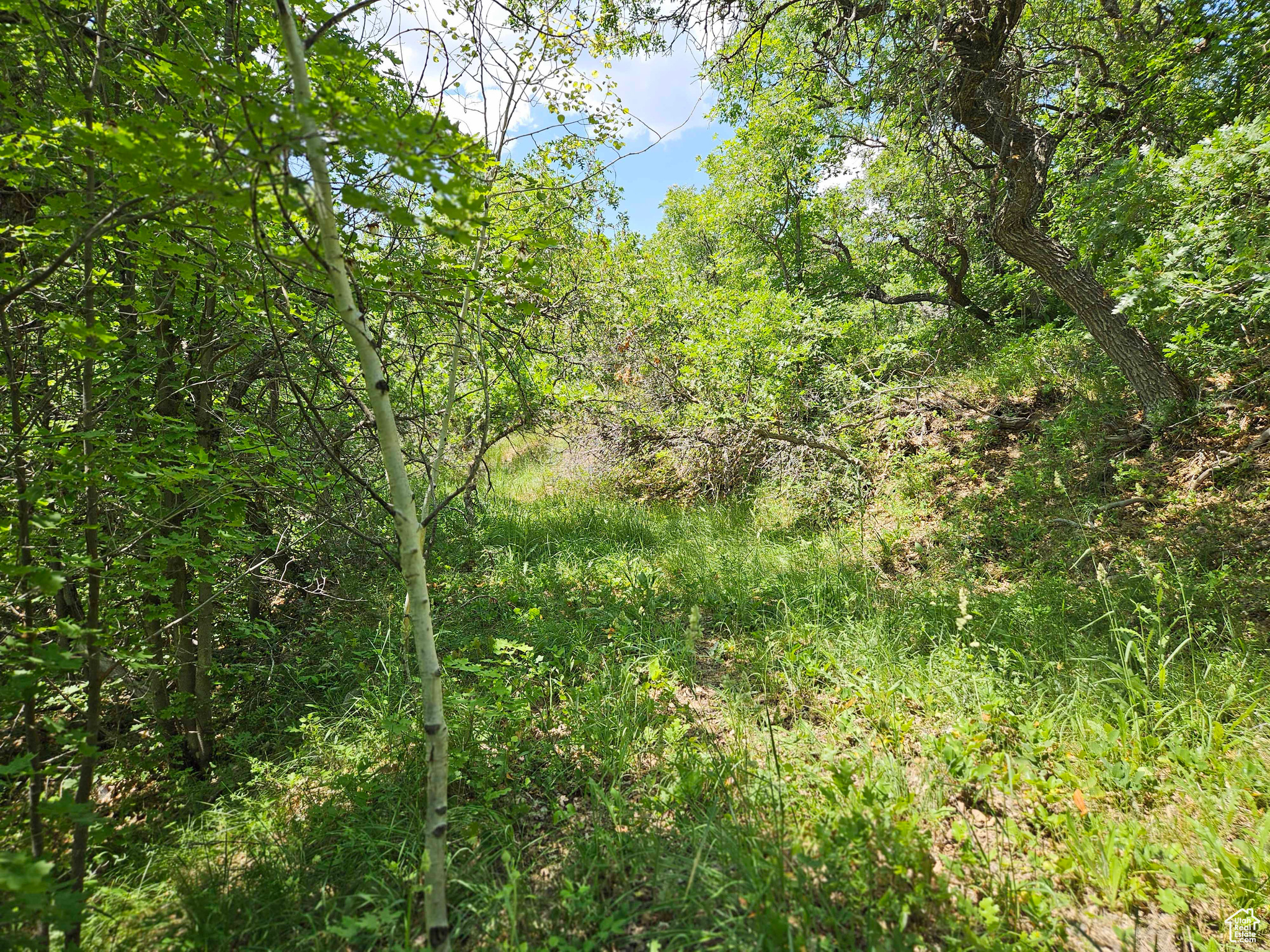 ASPEN HILLS - Land