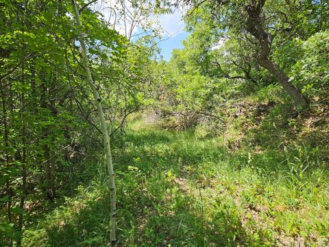 Tiny photo for 844 E EDGEWOOD DR #844, Fairview, UT 84629 (MLS # 2094253)