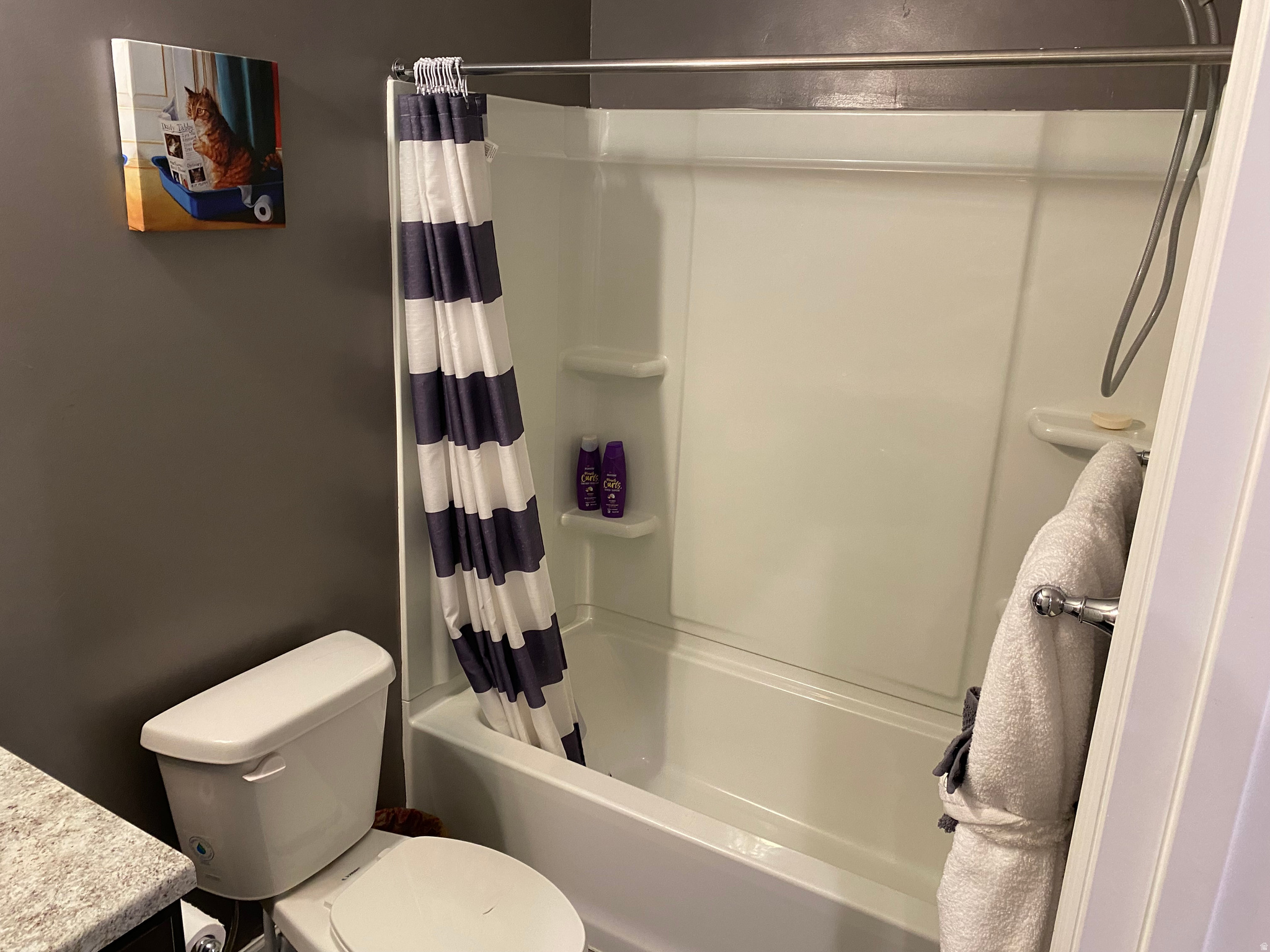 VILLAGES AT ARROWHEAD PARK - Residential