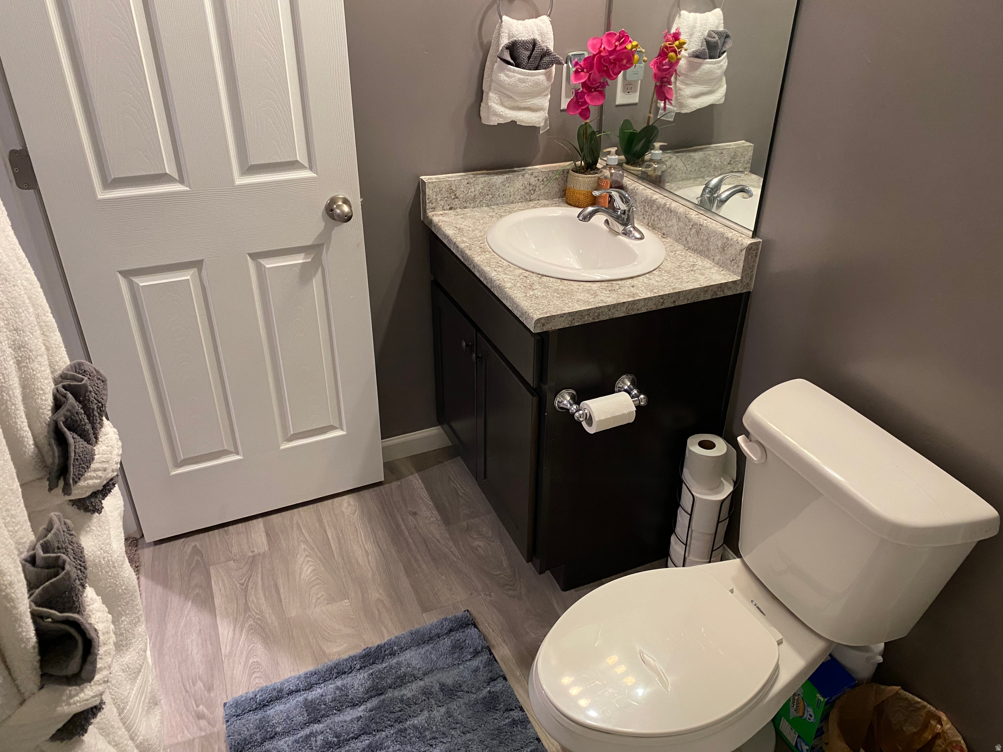 VILLAGES AT ARROWHEAD PARK - Residential