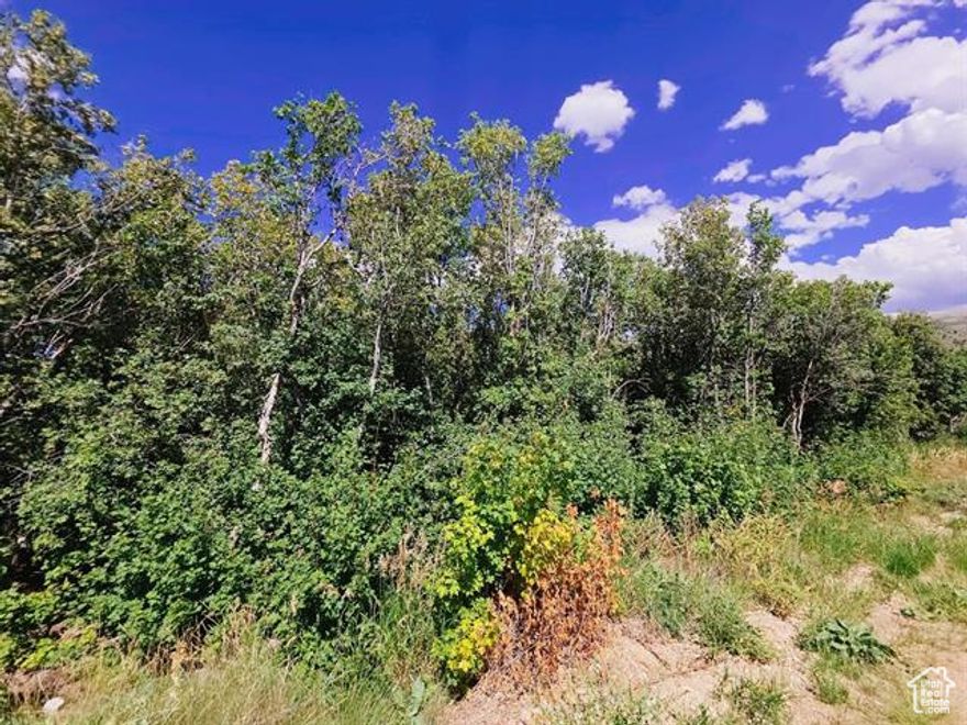 4 Acres of Scenic, Wooded Paradise in Thunder Mountain  Just Minutes from Lava Hot Springs! Escape to nature with this rare 4-acre lot located in the heart of the Thunder Mountain recreational area, just 3 to 4 miles from the world-renowned hot pools and charming downtown of Lava Hot Springs, ID. This gated, friendly community offers peace, privacy, and endless outdoor adventures right from your doorstep. Unlike many bare lots in the area, this parcel is heavily wooded, providing natural shade, beauty, and privacy-perfect for those looking to build a secluded mountain cabin, create a personal camping retreat, or enjoy a recreational getaway. Surrounded by miles of trails ideal for hiking, horseback riding, and dirt biking, this land is a dream come true for outdoor enthusiasts. With easy year-round access and proximity to local restaurants, shops, and Lava's famous attractions, it offers the best of both wilderness and convenience. Whether you're building your dream escape or investing in one of Idaho's most sought-after recreational areas, this Thunder Mountain lot is a rare find.