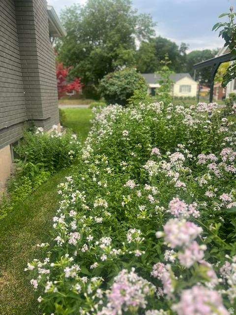 NERECREEK CH - Residential