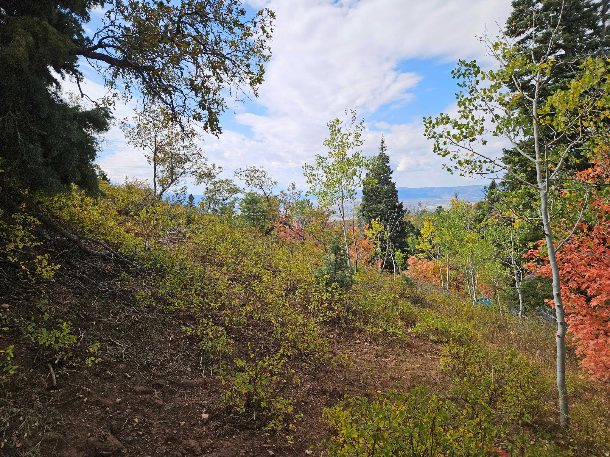 SKYLINE MTN RESORT - Land