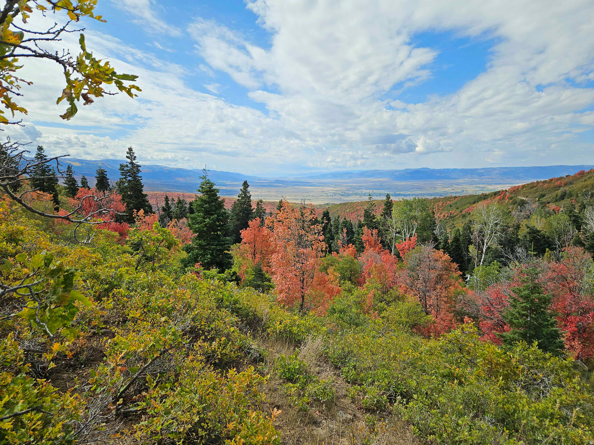 SKYLINE MTN RESORT - Land