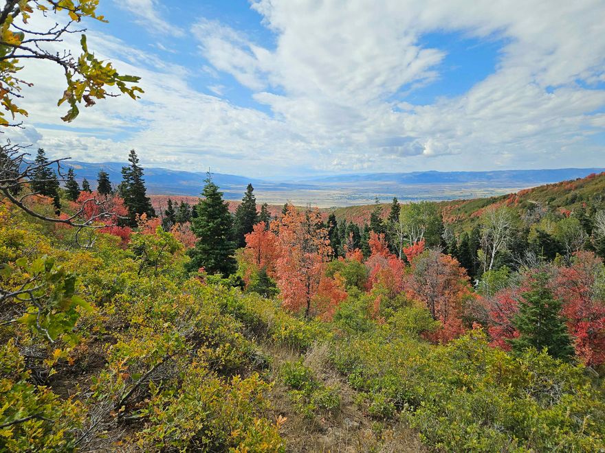 Lot K28 containing 1.09 acres in the Skyline Mtn Resort Subdivision. Located in a very desirable area near the top of the Subdivision. Large pine trees on the property with a great view of the mountains and valley below. Adjacent lots K28 and K30 are also available. This property is in a gated community. Contact listing agent to obtain access and if needed to get directions to the property. Seller Financing is available.