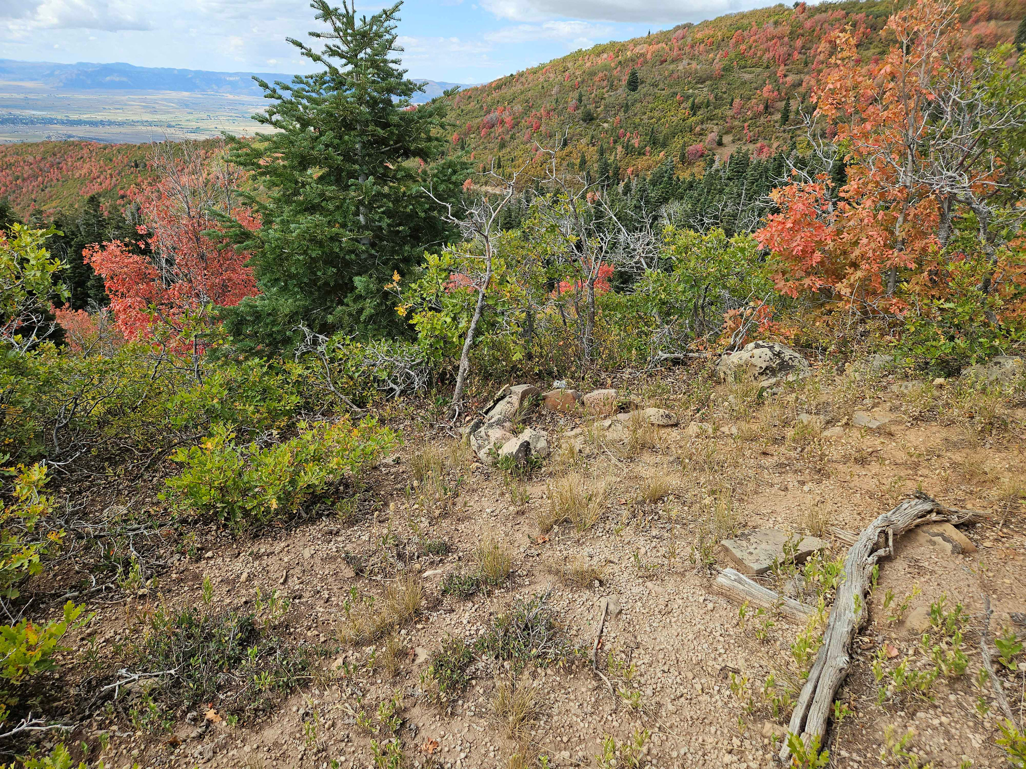 SKYLINE MTN RESORT - Land