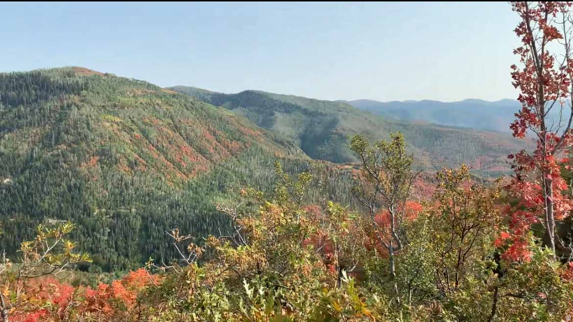 SKYLINE MTN RESORT - Land