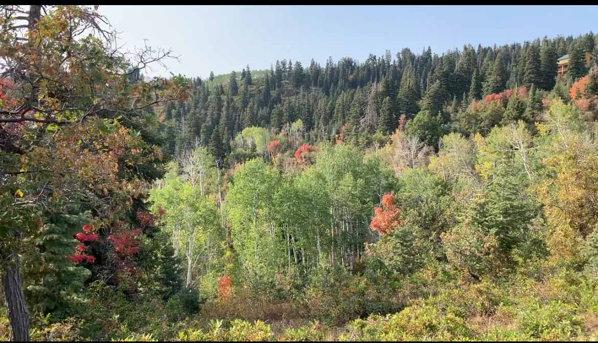 SKYLINE MTN RESORT - Land