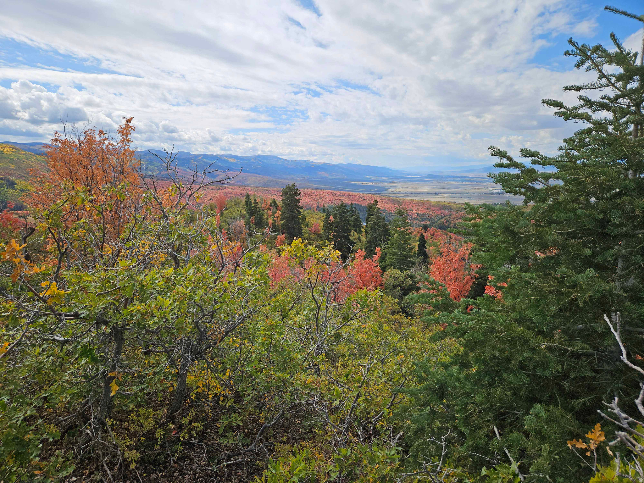 SKYLINE MTN RESORT - Land