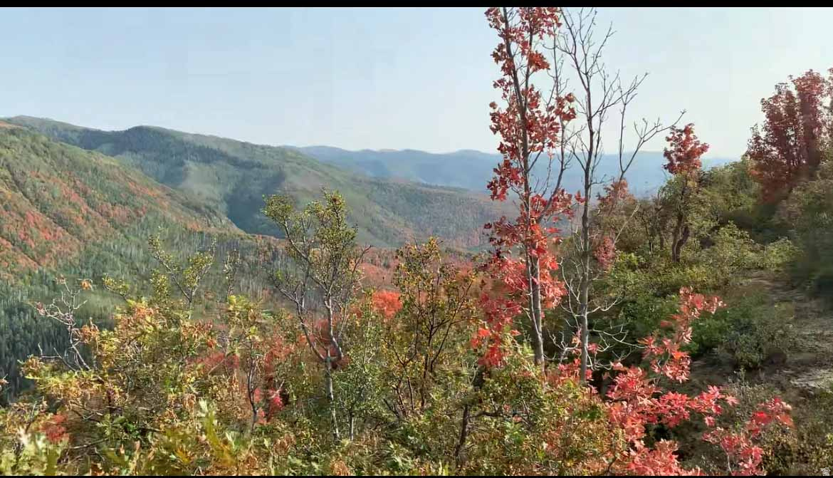 SKYLINE MTN RESORT - Land