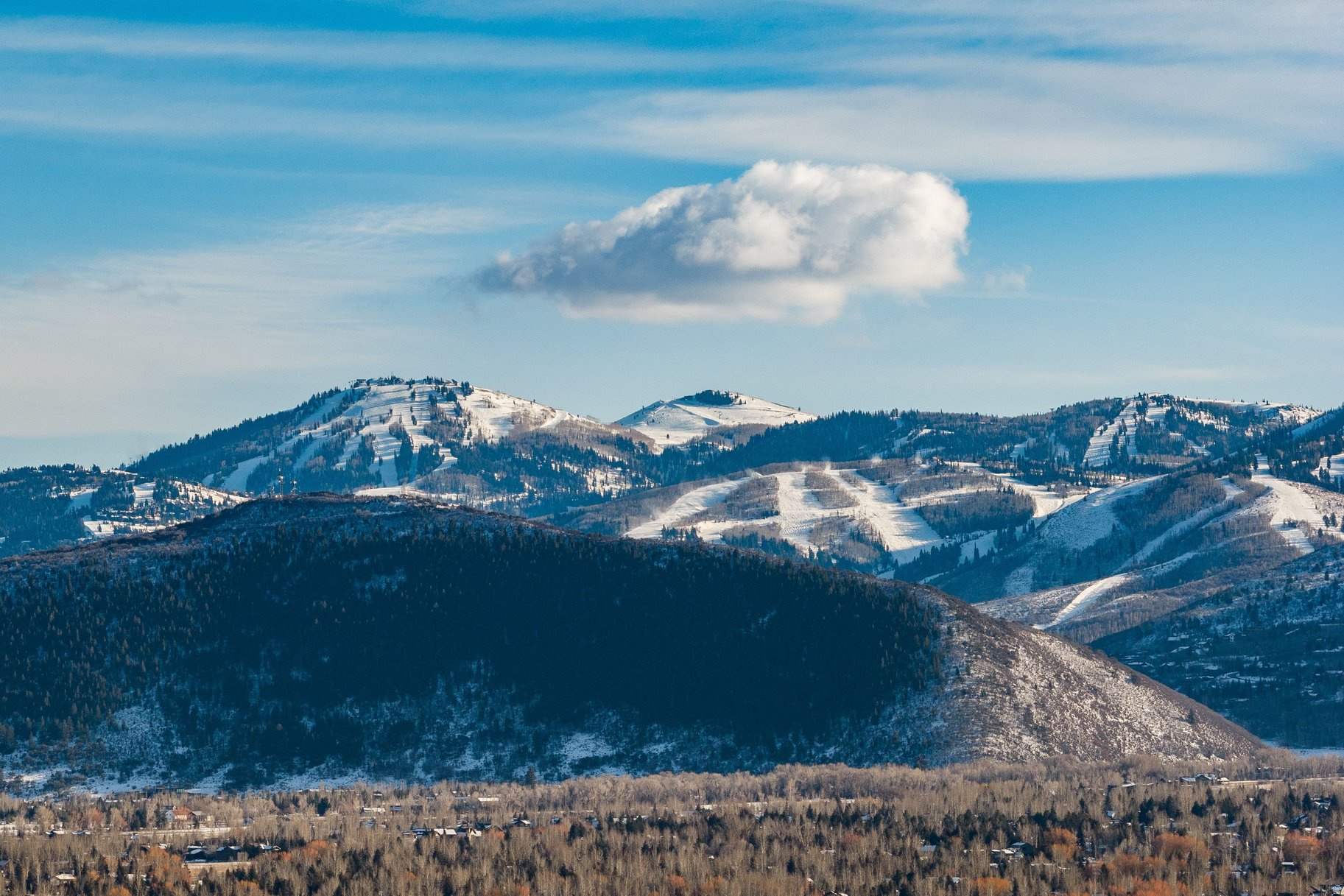 POWDERWOOD AT LANDMARK - Residential