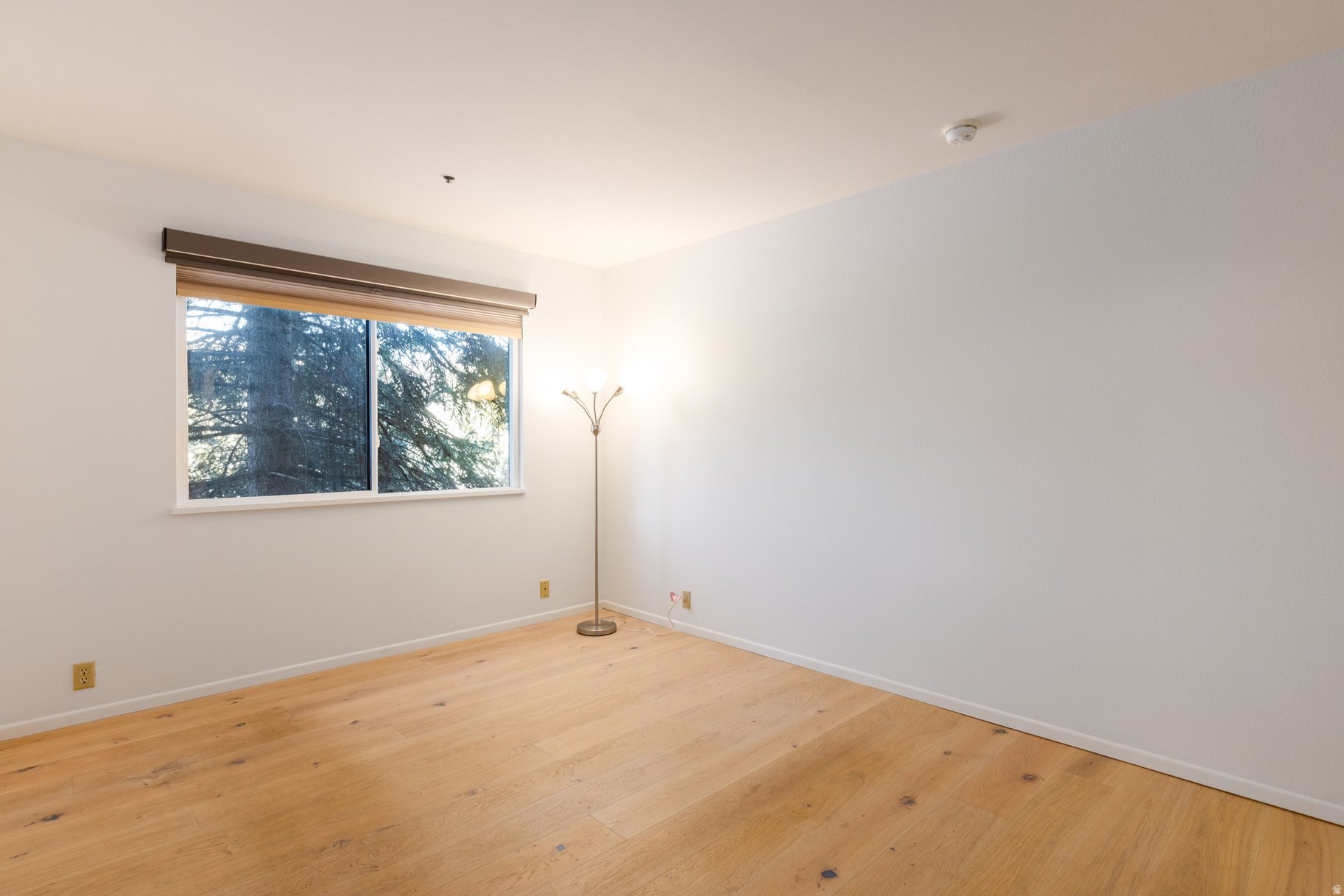 POWDERWOOD AT LANDMARK - Residential