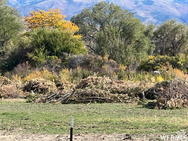 90 S 100, Joseph, Utah image 9