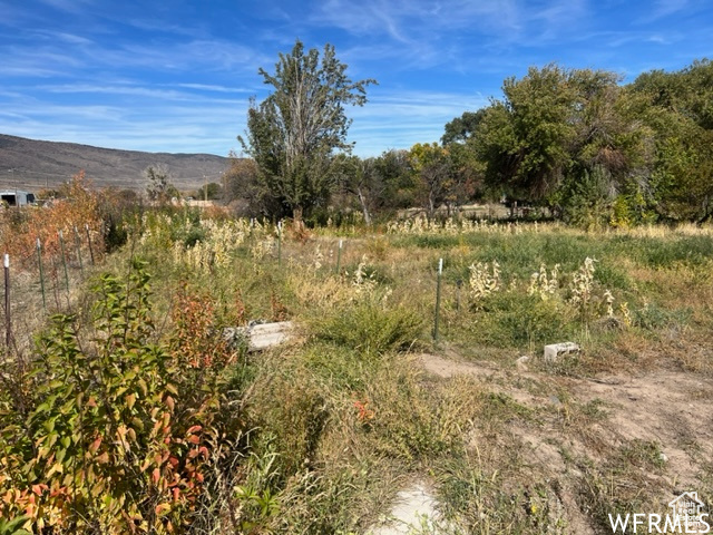 90 S 100, Joseph, Utah image 15