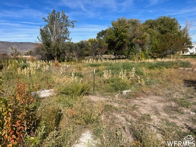 90 S 100, Joseph, Utah image 17