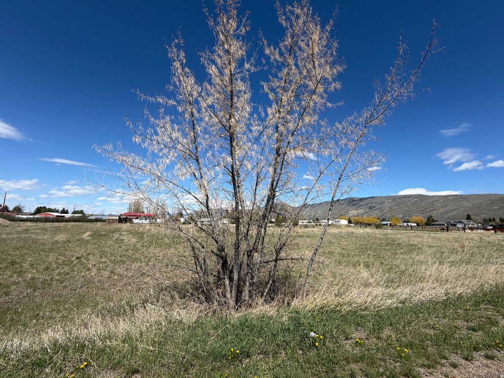 Photo of 403 N 7TH ST #6, Montpelier, ID 83254 (MLS # 2153920)