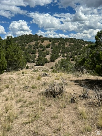 Land, Mt Pleasant, Utah image 7