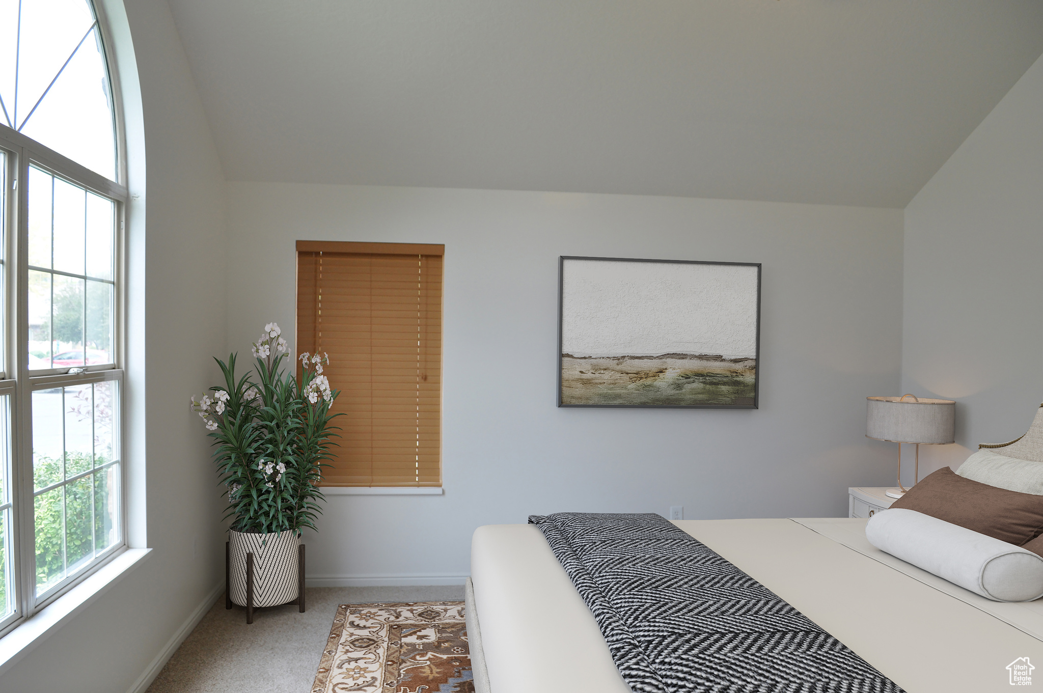 WILLOW PARK VILLAS - Residential