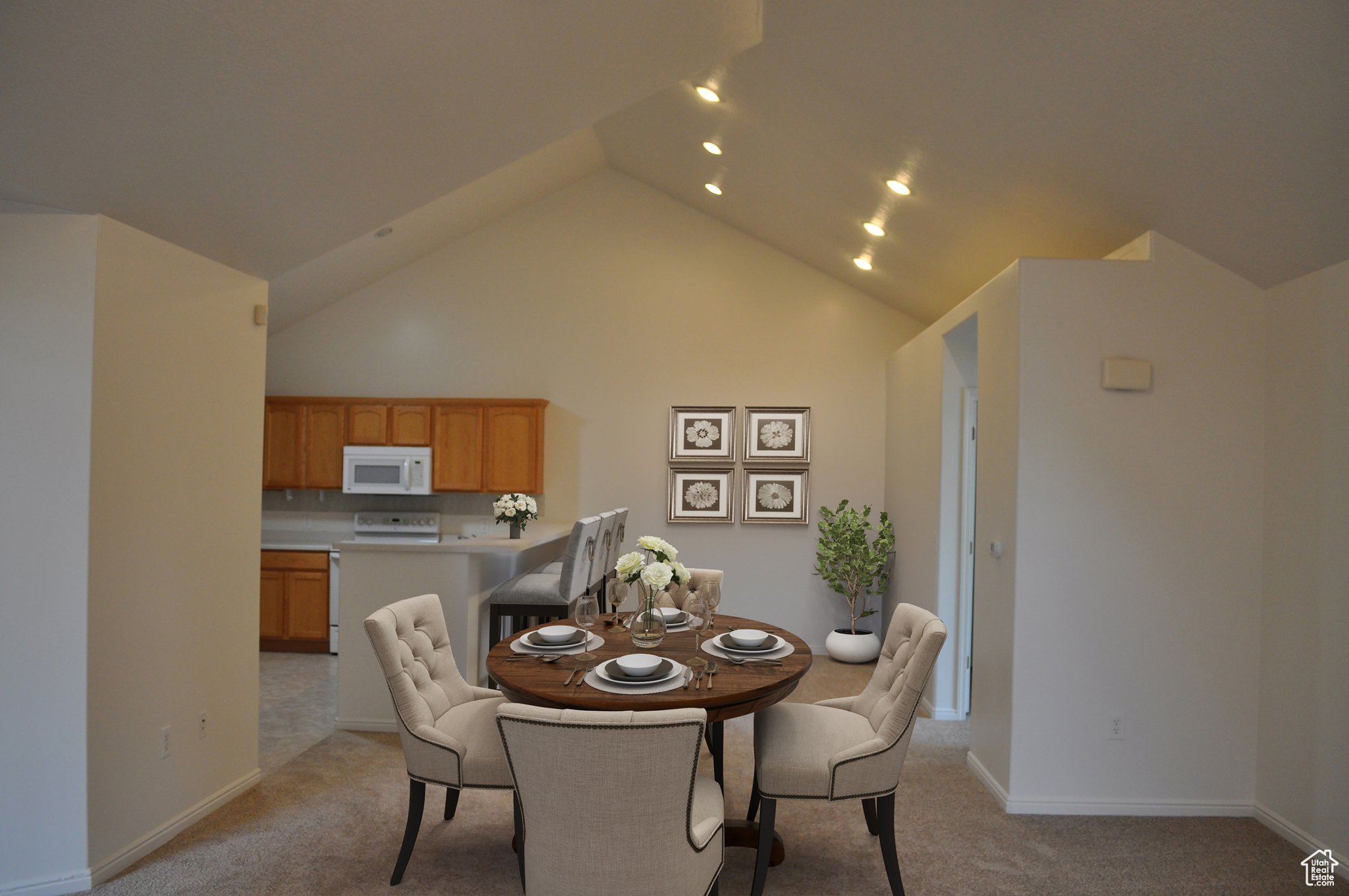 WILLOW PARK VILLAS - Residential