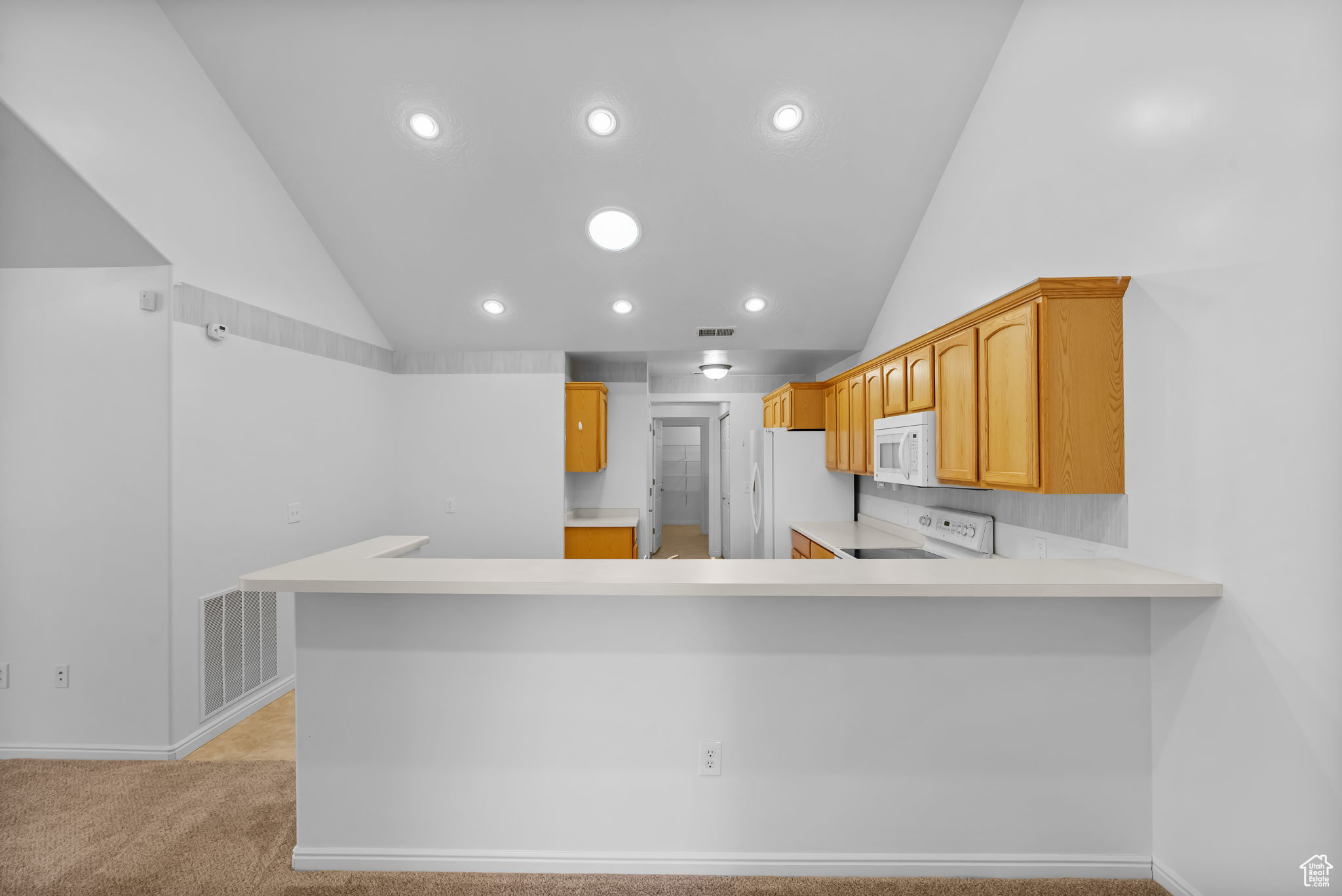 WILLOW PARK VILLAS - Residential