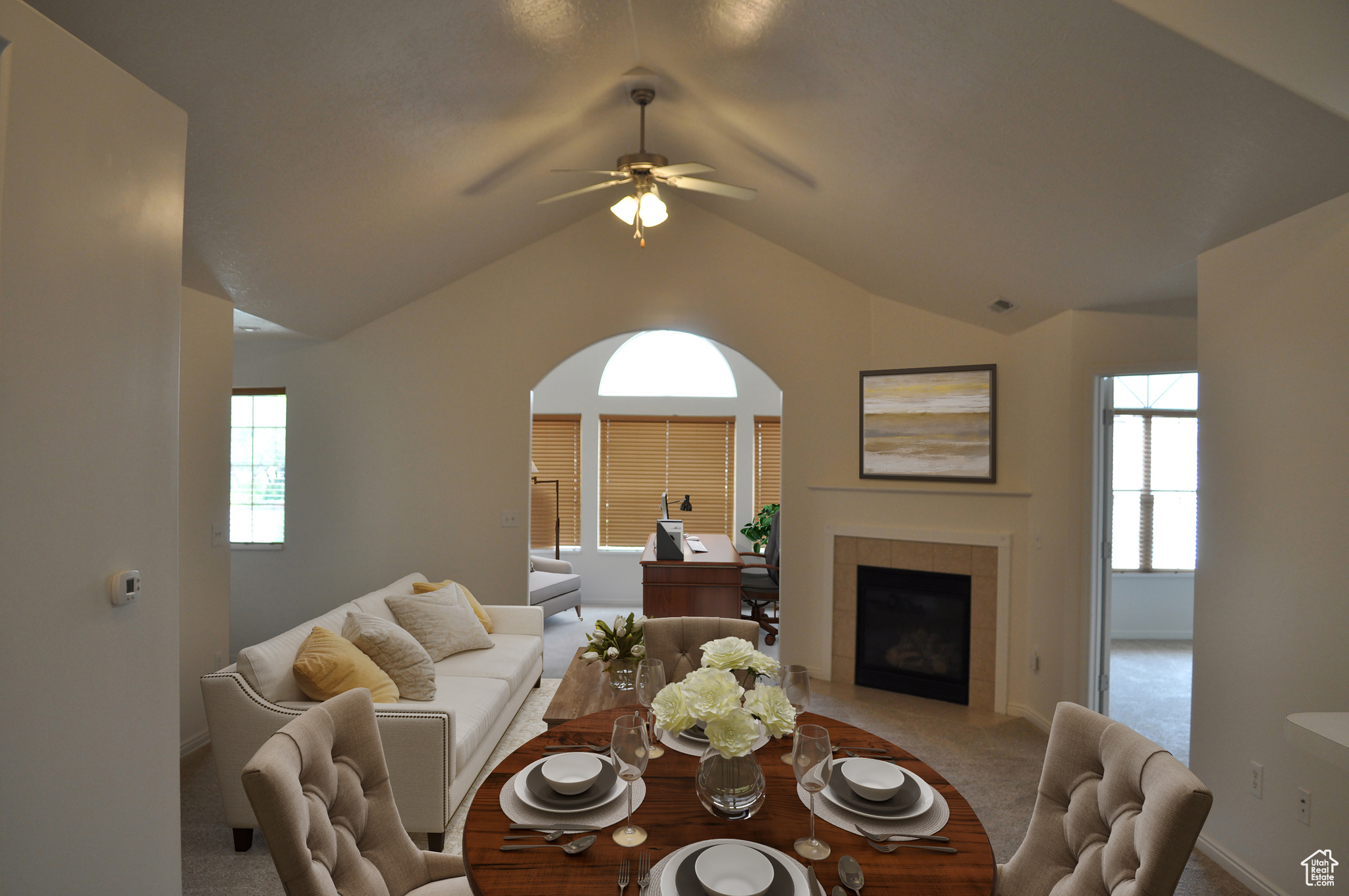 WILLOW PARK VILLAS - Residential