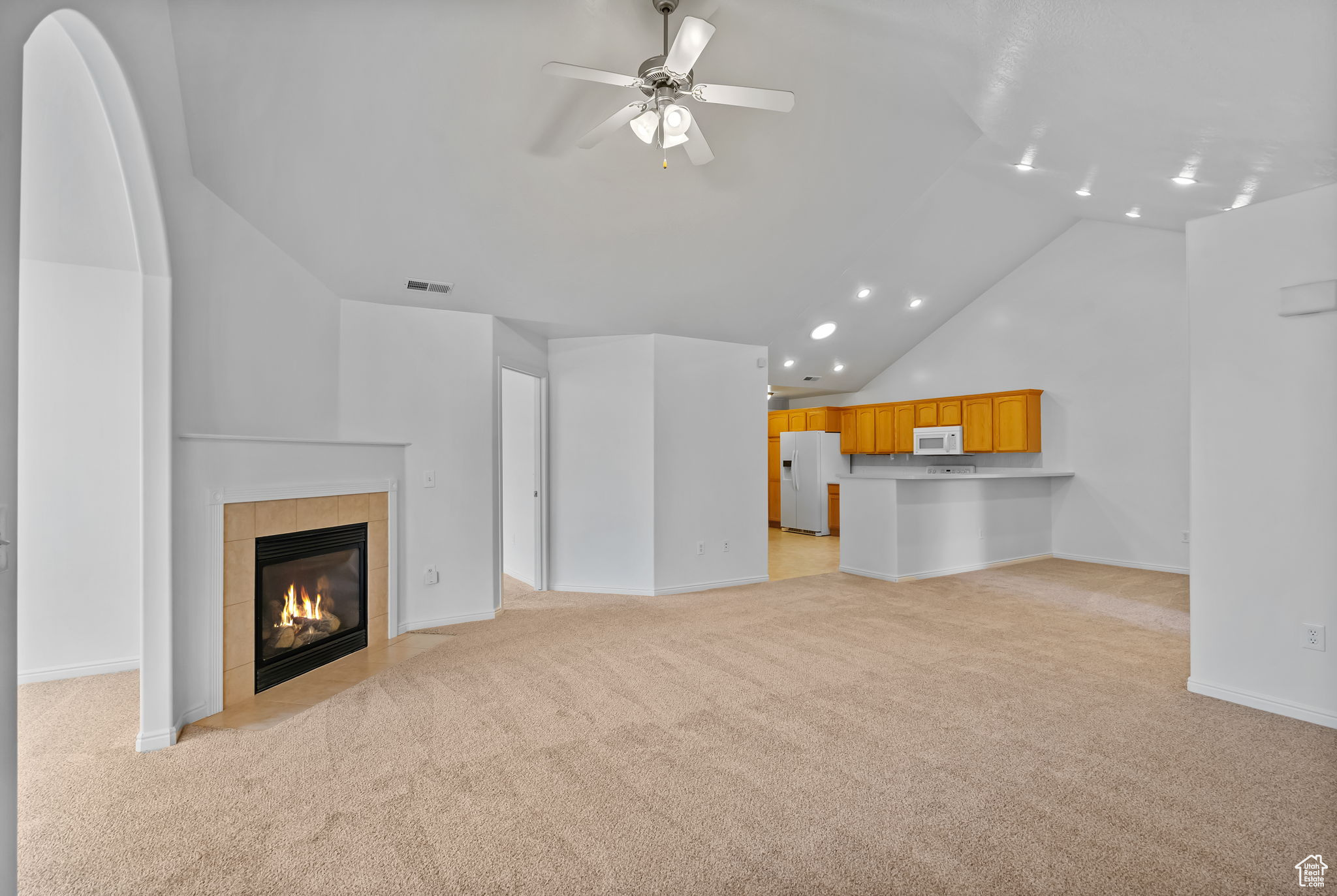 WILLOW PARK VILLAS - Residential