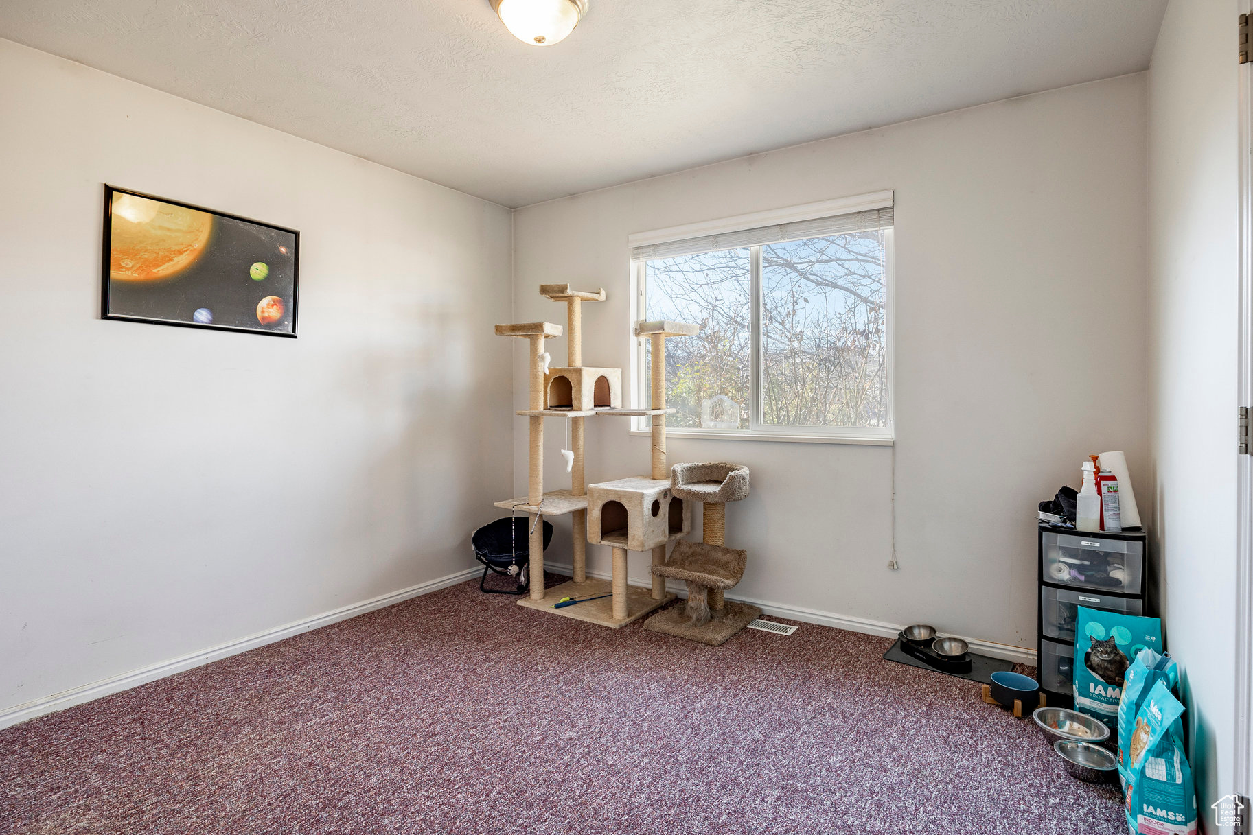 9031 S Mountain Iris Way, West Jordan, Utah image 14