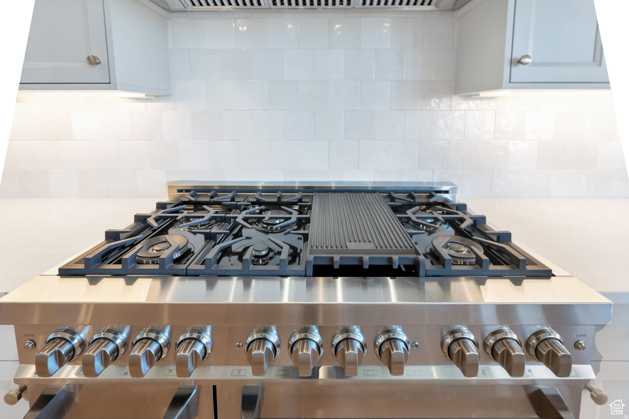 CHESTNUT FARMS - Residential