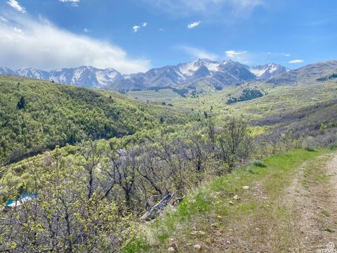 Tiny photo for 5 E HAPPY HOLLOW DR N #5, Springville, UT 84663 (MLS # 2097080)