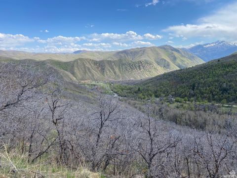 Tiny photo for 5 E HAPPY HOLLOW DR N #5, Springville, UT 84663 (MLS # 2097080)