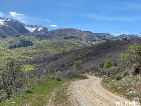 Tiny photo for 5 E HAPPY HOLLOW DR N #5, Springville, UT 84663 (MLS # 2097080)