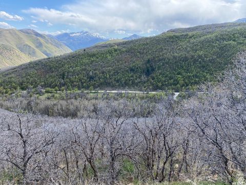 Tiny photo for 5 E HAPPY HOLLOW DR N #5, Springville, UT 84663 (MLS # 2097080)