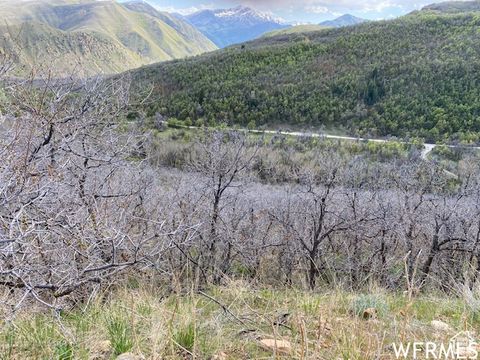 Tiny photo for 5 E HAPPY HOLLOW DR N #5, Springville, UT 84663 (MLS # 2097080)