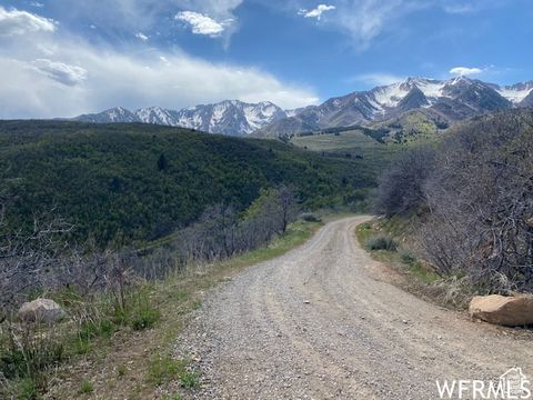 Tiny photo for 5 E HAPPY HOLLOW DR N #5, Springville, UT 84663 (MLS # 2097080)