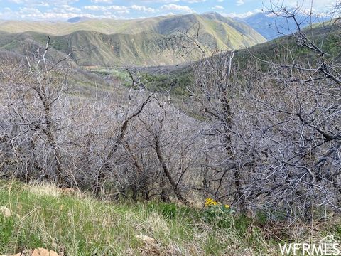 Tiny photo for 5 E HAPPY HOLLOW DR N #5, Springville, UT 84663 (MLS # 2097080)