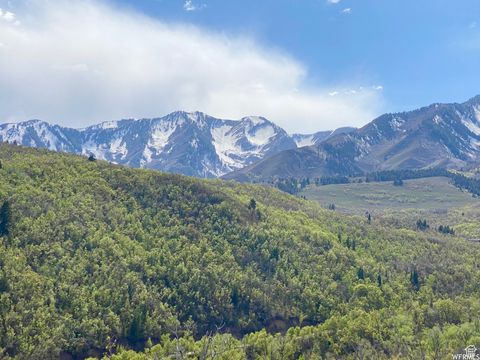 Tiny photo for 5 E HAPPY HOLLOW DR N #5, Springville, UT 84663 (MLS # 2097080)