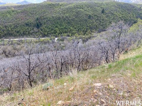 Tiny photo for 5 E HAPPY HOLLOW DR N #5, Springville, UT 84663 (MLS # 2097080)