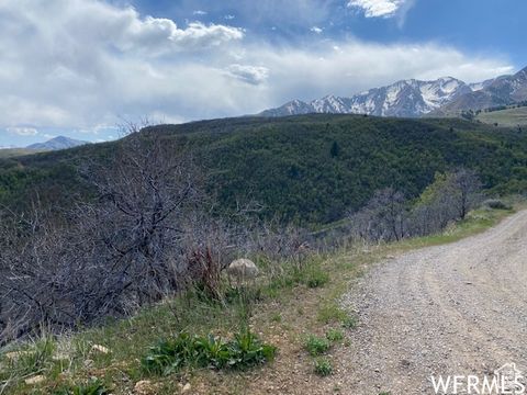 Tiny photo for 5 E HAPPY HOLLOW DR N #5, Springville, UT 84663 (MLS # 2097080)