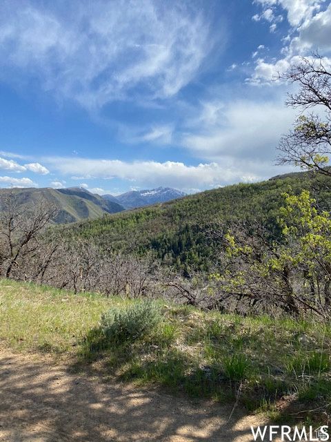 Tiny photo for 5 E HAPPY HOLLOW DR N #5, Springville, UT 84663 (MLS # 2097080)